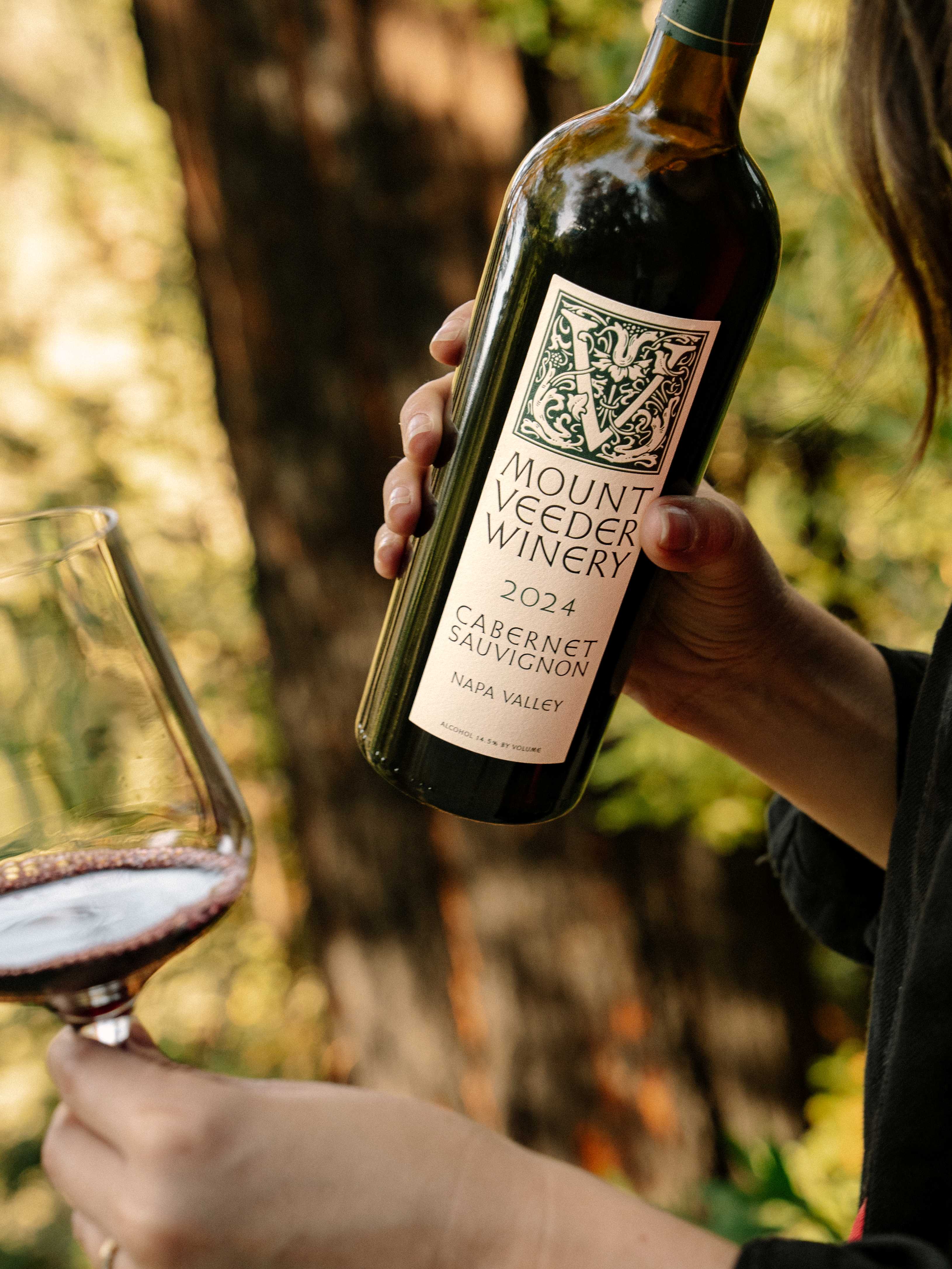 2024 Mount Veeder Cabernet Sauvignon Napa Valley