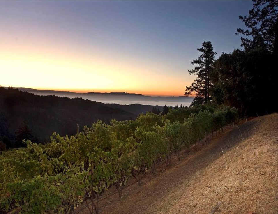 Image of Mount Veeder vineyards with sunset behind